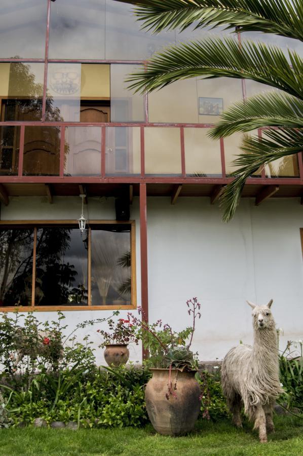 Inkita Boutique Guesthouse Cusco Exterior photo